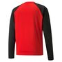 Puma teamLIGA Training Sweat - rot