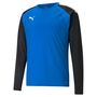 Puma teamLIGA Training Sweat - blau