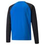 Puma teamLIGA Training Sweat - blau