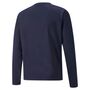 Puma teamLIGA Training Sweat - blau