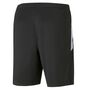 Puma teamLIGA  Training Shorts - schwarz