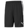 Puma teamLIGA  Training Shorts - schwarz