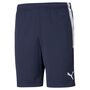 Puma teamLIGA  Training Shorts - blau