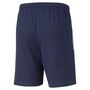 Puma teamLIGA  Training Shorts - blau