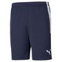Puma teamLIGA  Training Shorts - blau