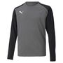 Puma teamPACER GK LS Jersey Jr - grau