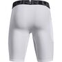 Under Armour Heatgear Armour Long Shorts kurze Hose