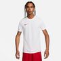 Nike Dri-FIT Park 7 JBY Herren Fu�ball Trikot