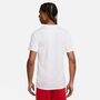 Nike Dri-FIT Park 7 JBY Herren Fu�ball Trikot