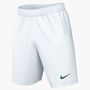 Nike Dri-FIT Park 3 Herren Knit Fu�ball Shorts