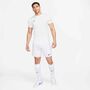 Nike Dri-FIT Park 3 Herren Knit Fu�ball Shorts