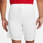 Nike Dri-FIT Park 3 Herren Knit Fu�ball Shorts