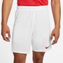 Nike Dri-FIT Park 3 Herren Knit Fu�ball Shorts