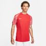 Nike Dri-FIT Academy Herren-Fu�balltrikot