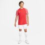 Nike Dri-FIT Academy Herren-Fu�balltrikot