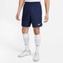 Nike Dri-FIT Herren-Fu�ballshorts