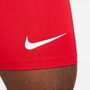 Nike Pro Dri-FIT Strike Herren-Fu�ballshorts