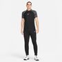 Nike Dri-Fit Academy pro Poloshirt