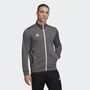 adidas Herren Entrada 22 Trainingsjacke