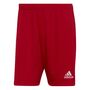 adidas Herren Entrada 22 Shorts