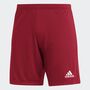 adidas Herren Entrada 22 Shorts