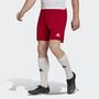 adidas Herren Entrada 22 Shorts