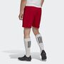 adidas Herren Entrada 22 Shorts
