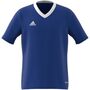adidas Kinder Entrada 22 Trikot