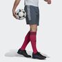 adidas Herren Condivo 22 Match Day Shorts