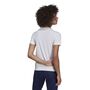 adidas Damen Entrada 22 T-Shirt
