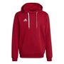 adidas Herren Entrada 22 Sweat Hoodie
