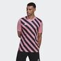 adidas Herren Entrada 22 Graphic Trikot