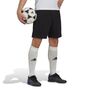 adidas Herren Entrada 22 Training Shorts