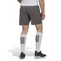adidas Herren Entrada 22 Shorts