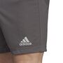 adidas Herren Entrada 22 Shorts