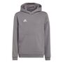 adidas Kinder Entrada 22 Sweat Hoodie