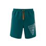 adidas Herren Trainingsshorts