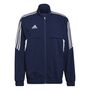 adidas Herren Condivo 22 Pr�sentationsjacke
