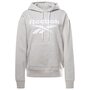 Reebok Ri Big Logo Fleece Hoodie