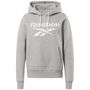 Reebok Ri Big Logo Fleece Hoodie