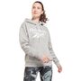 Reebok Ri Big Logo Fleece Hoodie