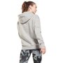 Reebok Ri Big Logo Fleece Hoodie