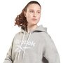 Reebok Ri Big Logo Fleece Hoodie