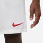 Nike Dri-FIT Park 3 Big Kinder Fu�ball Shorts