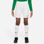 Nike Dri-FIT Park 3 Big Kinder Fu�ball Shorts
