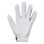 Under Armour Ua Iso-Chill Golf Glove - black