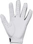 Under Armour Ua Iso-Chill Golf Glove - black