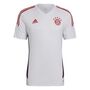 adidas Herren FC Bayern M�nchen Condivo 22 Trainingstrikot