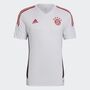 adidas Herren FC Bayern M�nchen Condivo 22 Trainingstrikot