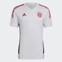 adidas Herren FC Bayern M�nchen Condivo 22 Trainingstrikot